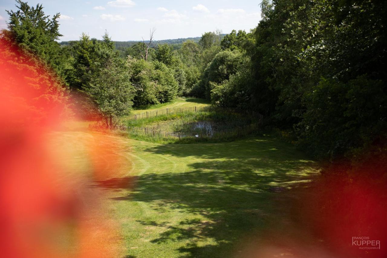 Le Bonheur De La Cascade 24 Pers - Malmedy, Wellness, Jardin, Confort المظهر الخارجي الصورة